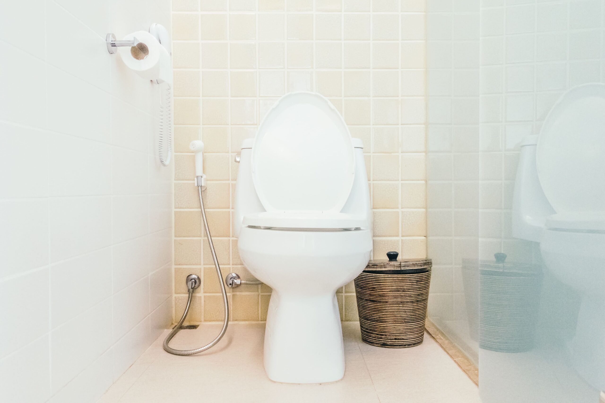 Modern bathroom renovation featuring a bidet toilet and handheld bidet spray in a clean contemporary bathroom design
